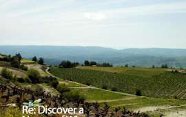Mountain Viticulture in Cyprus soon on the Baïcchus Tour Map