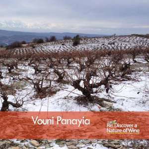 snow capped vineyards