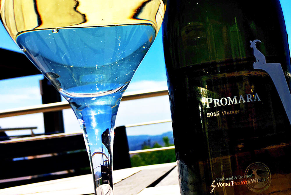 promara wine tasting at vouni panayia