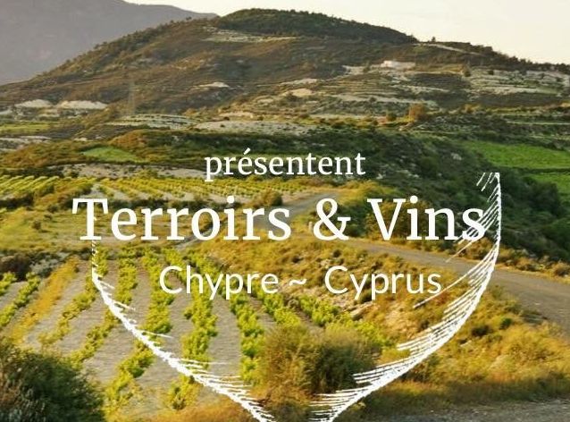 If Terroir isn't discovered, can it actually exist. Traveling the world for discovery, 50th country where Cyprus vineyards seduce with authenticity for the Wine Explorers.