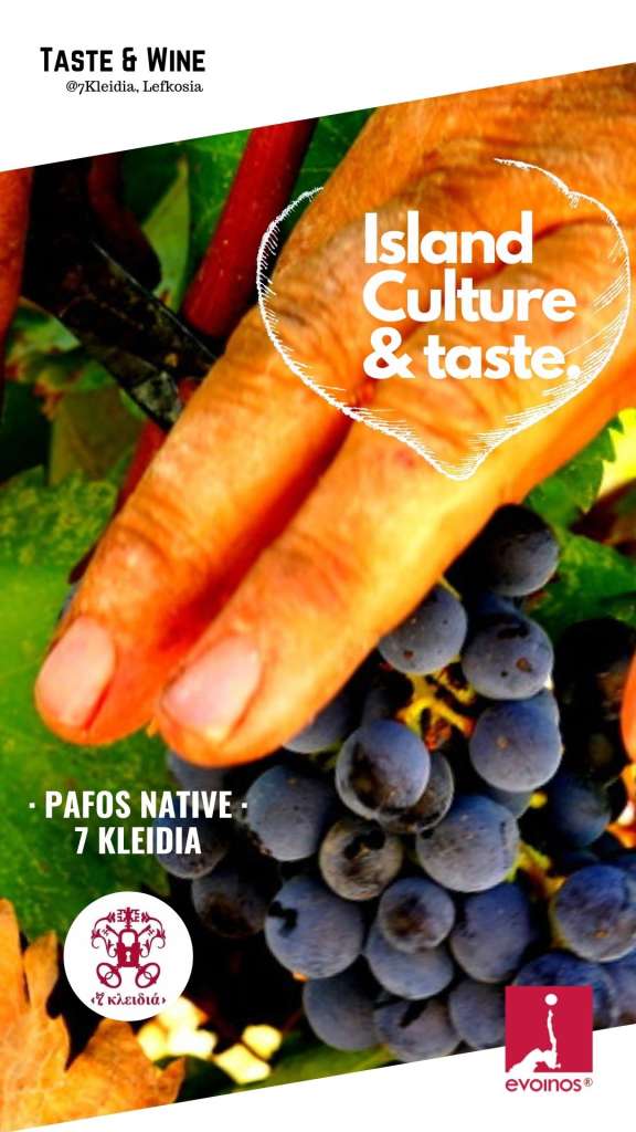 Pafos native wine flight 7kleidia